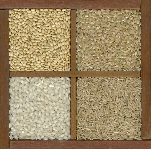 在一个具有分隔栏框中的四个水稻籽粒 — 图库照片