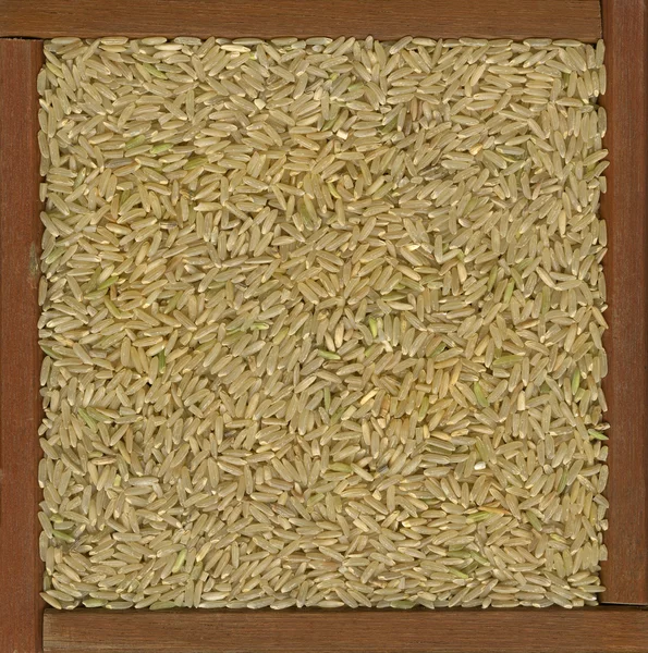 Long grain brown rice background — Stock Photo, Image