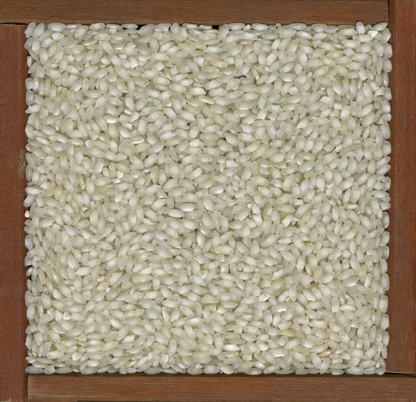 Arborio rice background — Stock Photo, Image