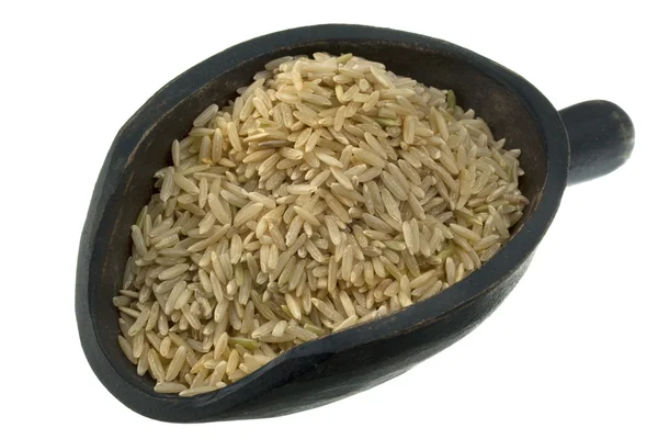 Pala de arroz integral de grano largo — Foto de Stock