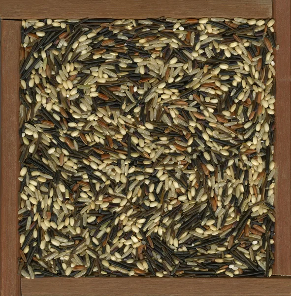 Mezcla de arroz salvaje y marrón — Foto de Stock