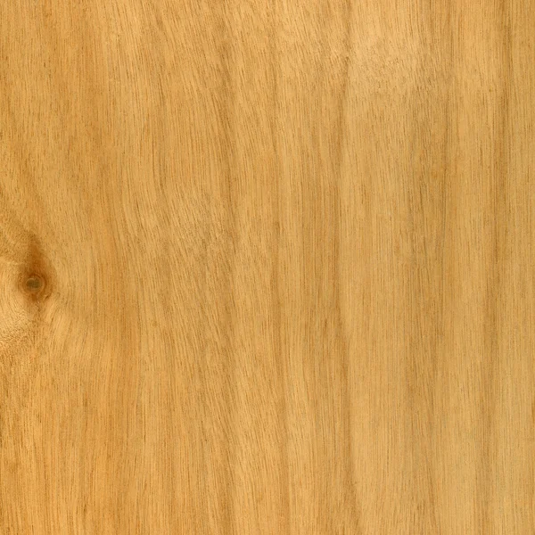 Texture of okoume marine plywood — Stock Photo, Image