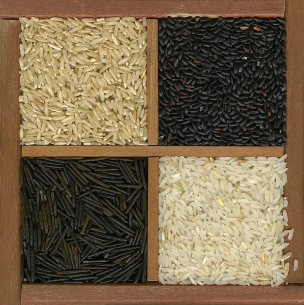 Quatro grãos de arroz fundo — Fotografia de Stock