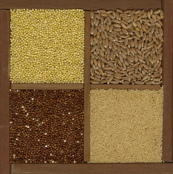 Millet. espelta, amaranto, grãos de quinoa — Fotografia de Stock