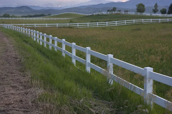 Dusk at pasture in Colorado foothills — Stock Photo, Image