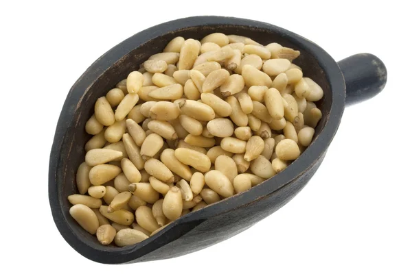 Scoop of pine nuts — Stock Photo, Image