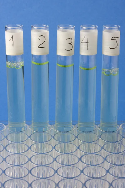 Laboratorium glazen buizen testen — Stockfoto