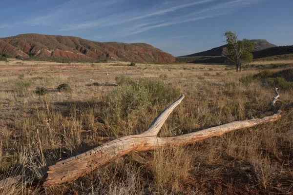 stock image Red Mountain in northern Colorado