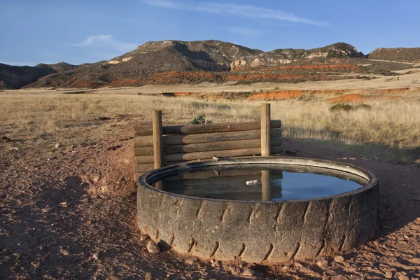 Colorado sığır sulama delik — Stok fotoğraf