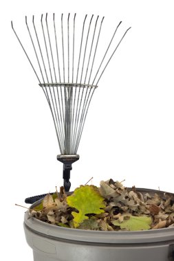 Trash bin, dry leaves and rake clipart