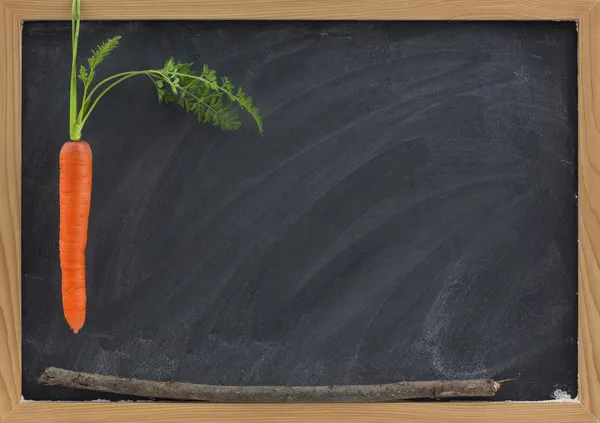 Морква і паличка - шкільна мотивація — стокове фото