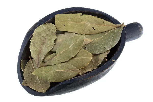 Scoop of dried bay leaves — Stock Photo, Image