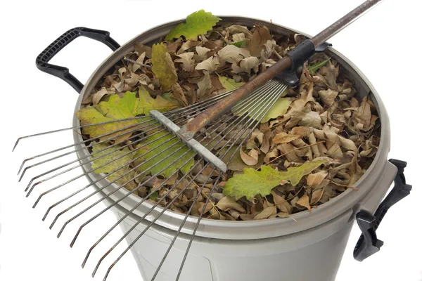 Rastrellare e asciugare le foglie nel cestino della spazzatura — Foto Stock