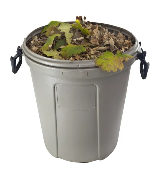 Dry leaves in a plastic garbage bin — Stock Photo, Image