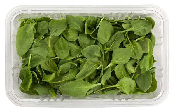 Зелений дитячий шпинат у чистій коробці — стокове фото