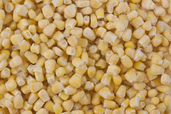 Fondo de maíz congelado — Foto de Stock