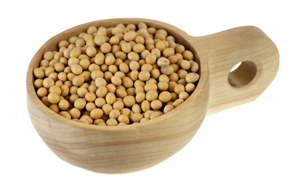 노란 콩의 특 종 — 스톡 사진