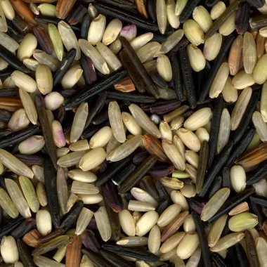 Brown basmati and wild rice macro clipart