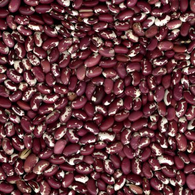 Anasazi beans, purple and white clipart