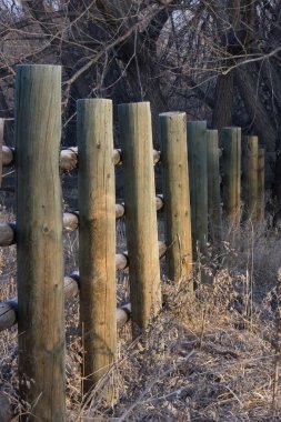 Farm fence covered with frost clipart