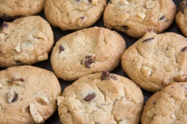 Cookies with chocolate chips and walnut slices clipart