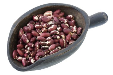 Scoop of Anasazi beans clipart