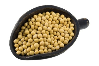 Scoop of yellow soy beans clipart
