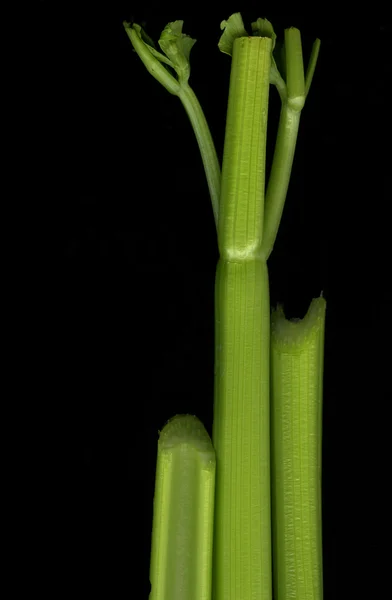 Stonky celeru na černém pozadí — Stock fotografie