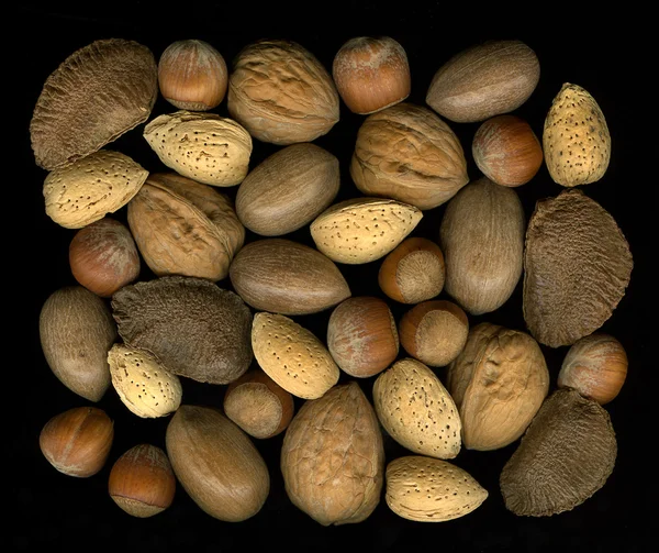 Meng noten in schelpen — Stockfoto