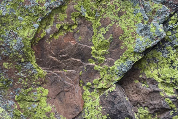 Sandstone rock with lichen — Stock Photo, Image