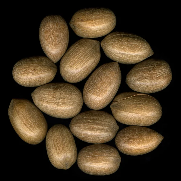Pecan nuts in shells on black — Stock Photo, Image