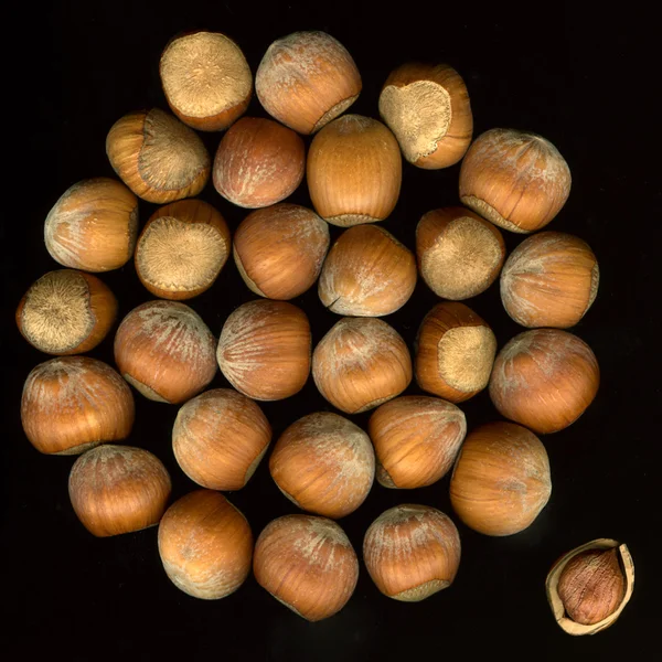 Hasselnötter med skal på svart — Stockfoto