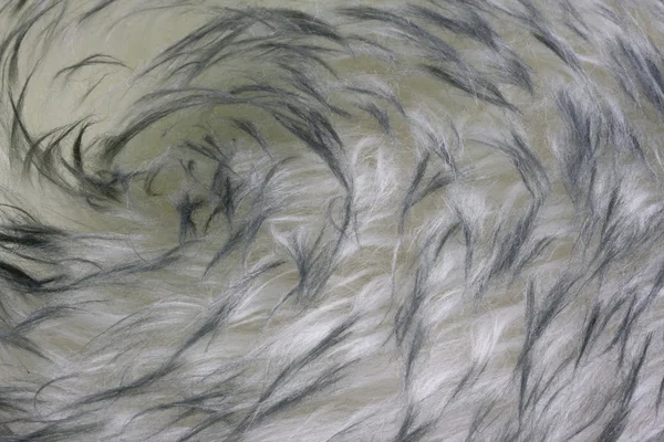 Kuzu derisi - kürk arka plan — Stok fotoğraf