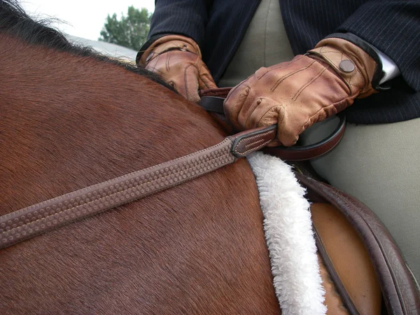 Kdo je v kontrole? koně a jezdce — Stock fotografie