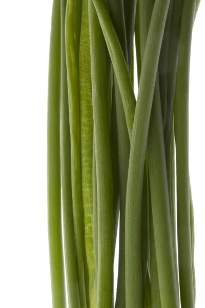 Букет зелених цибулин - макро — стокове фото