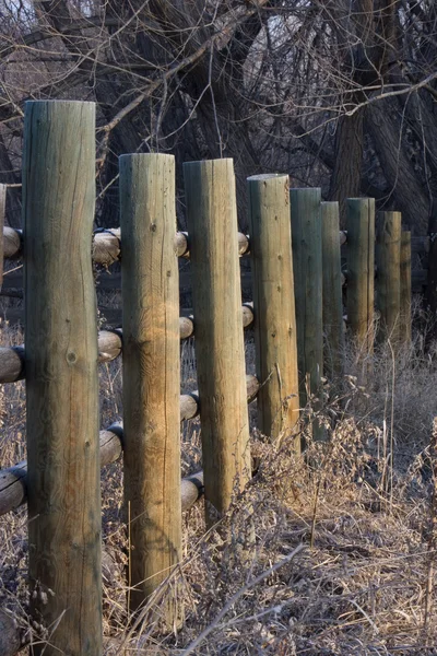 Gården staket täckt med frost — Stockfoto