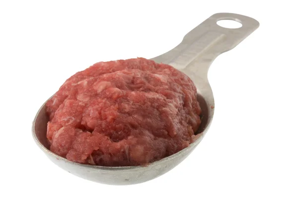Tablespoon of ground bison meat — Stock Photo, Image
