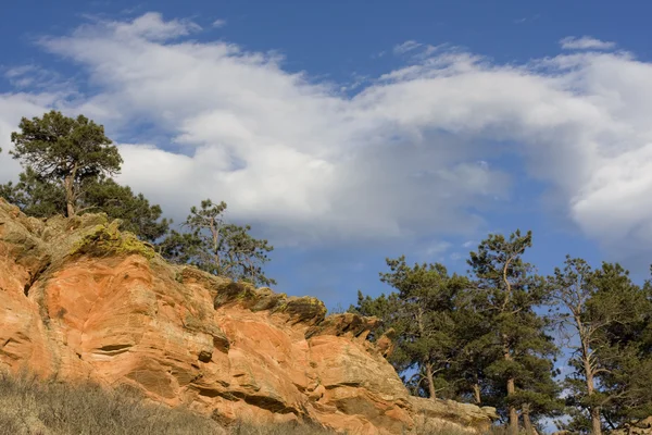 Sandsteinklippen, Kiefern im Kolorado — Stockfoto