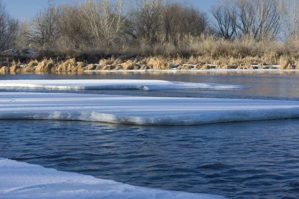 Ghiaccio sul fiume South Platte, Colorado — Foto Stock