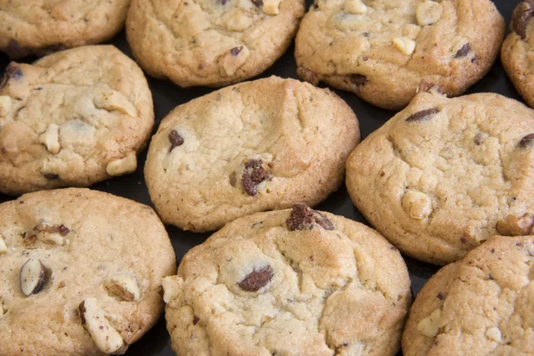 Печенье с шоколадной крошкой и ореховыми ломтиками — стоковое фото