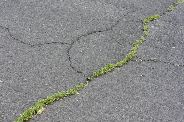 Pavimento de asfalto rachado — Fotografia de Stock