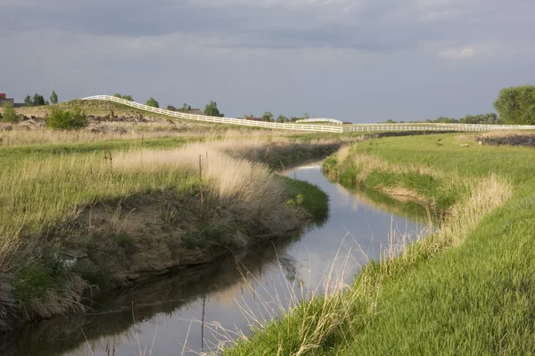 Irrigation ditch, green meadows — Stock Photo, Image