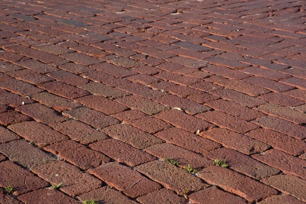 Brick pavement — Stock Photo, Image