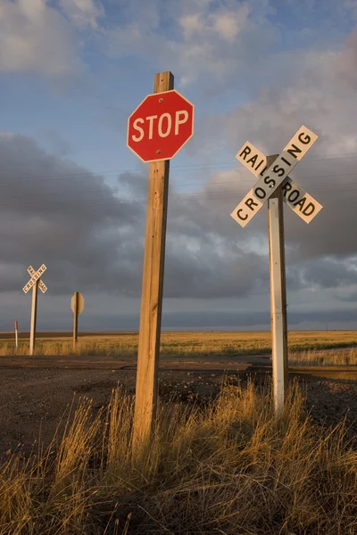 Estrada de ferro rural que atravessa witrh sinal de parada — Fotografia de Stock