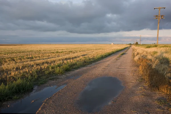 Boerderij weg in Noord Oost-colorado — Stockfoto
