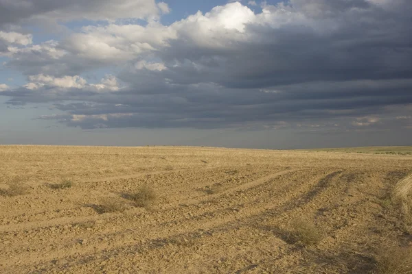 在科罗拉多州犁过的田野 — 图库照片