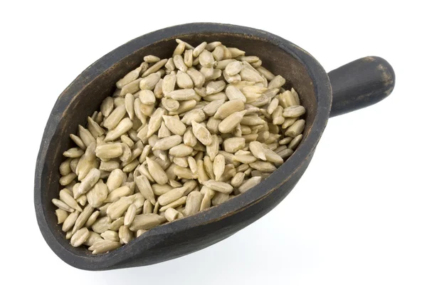 Scoop of shelled sunflower seeds — Stock Photo, Image
