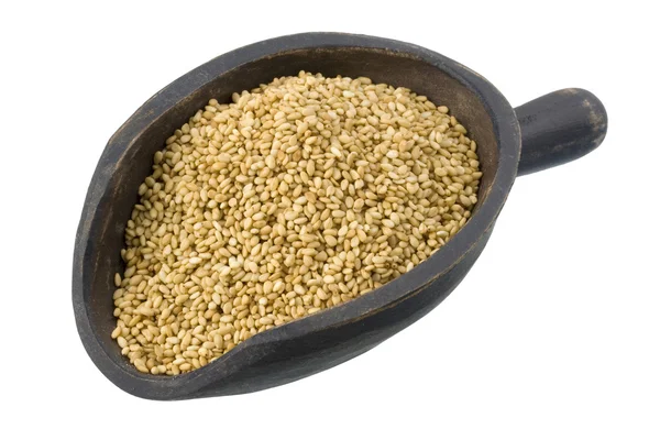 Scoop of sesame seeds — Stock Photo, Image