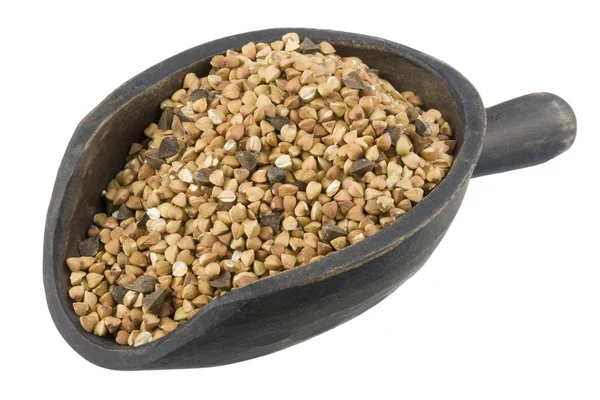 Scoop of roasted buckwheat (kasha) — Stock Photo, Image