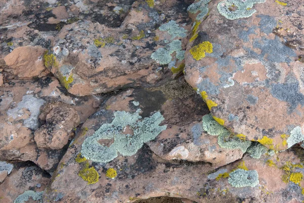Sandstone with lichen background — Stock Photo, Image
